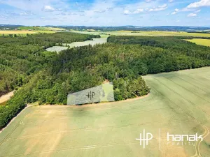 Prodej pozemku pro bydlení, Hluchov, 3150 m2