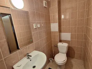 Pronájem bytu 1+kk, Brozany nad Ohří, Voborského, 25 m2