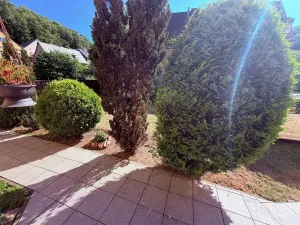 Prodej bytu 3+1, Javorník, Družstevní, 88 m2
