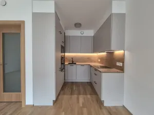 Prodej bytu 3+kk, Praha - Žižkov, Budovcova, 87 m2