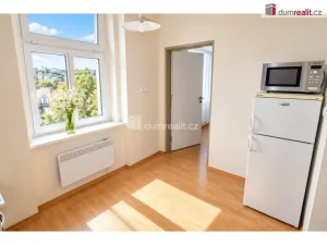 Pronájem bytu 1+1, Praha - Břevnov, Na Petynce, 25 m2