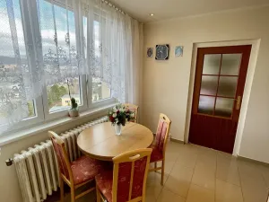 Prodej bytu 3+1, Chomutov, Pod Břízami, 61 m2