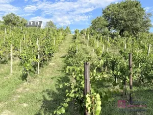 Prodej zahrady, Mikulov, Nová, 14 m2