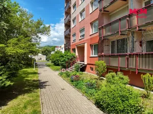 Prodej bytu 1+1, Litvínov - Horní Litvínov, Čapkova, 36 m2