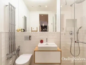 Prodej bytu 1+kk, Praha - Nové Město, Dlážděná, 61 m2