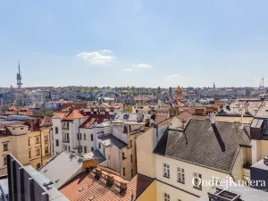Prodej bytu 1+kk, Praha - Nové Město, Dlážděná, 61 m2