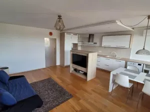 Pronájem bytu 3+kk, Praha - Žižkov, V zahrádkách, 47 m2