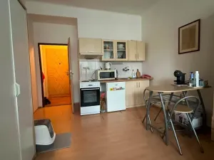 Pronájem bytu 1+kk, Praha - Libeň, Drahobejlova, 20 m2