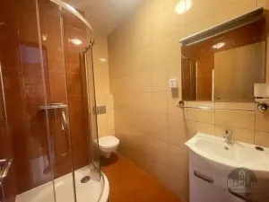 Pronájem bytu 1+kk, Praha - Smíchov, Plzeňská, 24 m2
