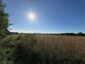 Prodej pozemku pro bydlení, Chocnějovice, 5680 m2
