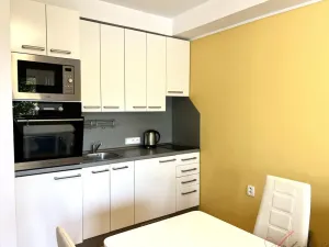 Pronájem bytu 1+kk, Frýdek-Místek - Frýdek, Hasičská, 29 m2