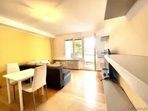 Pronájem bytu 1+kk, Frýdek-Místek - Frýdek, Hasičská, 29 m2