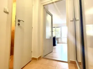 Pronájem bytu 1+kk, Frýdek-Místek - Frýdek, Hasičská, 29 m2