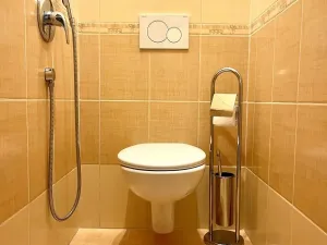 Pronájem bytu 1+kk, Frýdek-Místek - Frýdek, Hasičská, 29 m2
