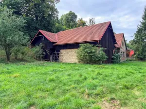Prodej zemědělské usedlosti, Trstěnice, 60 m2