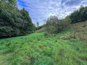 Prodej zemědělské usedlosti, Trstěnice, 60 m2