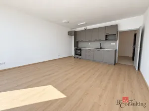 Pronájem bytu 2+kk, Plzeň - Jižní Předměstí, Železná, 52 m2