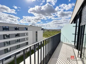 Pronájem bytu 2+kk, Plzeň - Jižní Předměstí, Železná, 52 m2