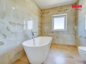 Prodej rodinného domu, Vodochody - Hoštice, Na Kopečku, 168 m2
