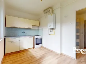 Prodej bytu 1+1, Teplice - Trnovany, Palackého, 36 m2