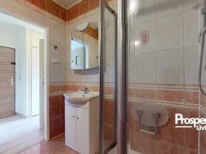 Prodej bytu 1+1, Teplice - Trnovany, Palackého, 36 m2