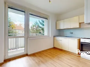 Prodej bytu 1+1, Teplice - Trnovany, Palackého, 36 m2
