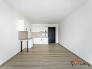 Pronájem bytu 1+kk, Olomouc - Nová Ulice, Třída Jiřího Pelikána, 32 m2