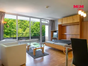 Prodej bytu 1+1, Příbram - Příbram II, Dlouhá, 31 m2