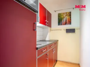 Prodej bytu 1+1, Příbram - Příbram II, Dlouhá, 31 m2