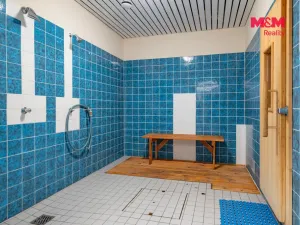 Prodej bytu 1+1, Příbram - Příbram II, Dlouhá, 31 m2