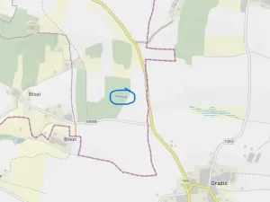 Prodej lesa, Slabčice - Nemějice, 1272 m2