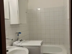 Pronájem bytu 1+1, Plzeň - Severní Předměstí, Brněnská, 39 m2