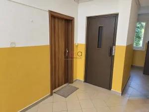 Pronájem bytu 1+1, Cvikov, 43 m2