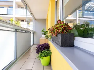 Prodej bytu 3+kk, Praha - Žižkov, Českobratrská, 81 m2