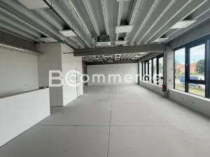 Pronájem skladu, Brno, 235 m2