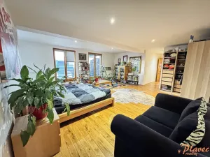 Pronájem bytu 2+kk, Praha - Bubeneč, Národní obrany, 126 m2