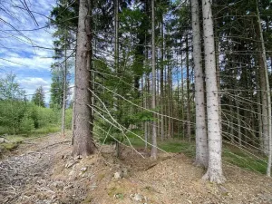 Prodej pozemku, Železná Ruda, 3072 m2