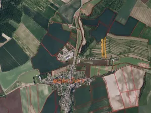 Dražba pole, Morkůvky, 4541 m2