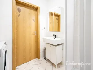 Pronájem bytu 1+kk, Brandýs nad Labem-Stará Boleslav - Brandýs nad Labem, Vrábská, 40 m2