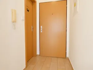 Prodej bytu 1+1, České Budějovice - České Budějovice 2, Lipová, 35 m2