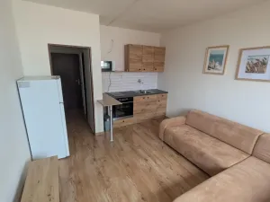 Pronájem bytu 1+kk, Most, U Věžových domů, 22 m2