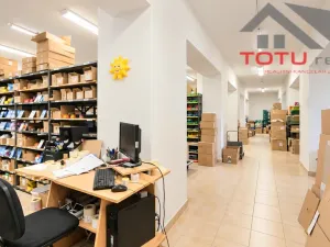 Prodej obchodního prostoru, Kostelec nad Orlicí, Mánesova, 1058 m2