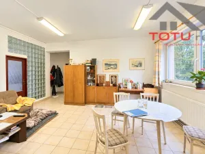 Prodej obchodního prostoru, Kostelec nad Orlicí, Mánesova, 1058 m2