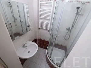 Pronájem bytu 2+1, Praha - Karlín, Sokolovská, 64 m2