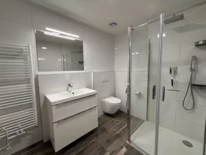 Pronájem bytu 3+kk, České Budějovice - České Budějovice 5, Dobrovodská, 73 m2