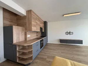 Pronájem bytu 3+kk, České Budějovice - České Budějovice 5, Dobrovodská, 73 m2