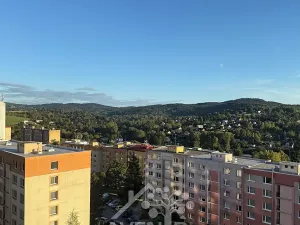 Prodej bytu 1+kk, Liberec, Nad Školou, 34 m2