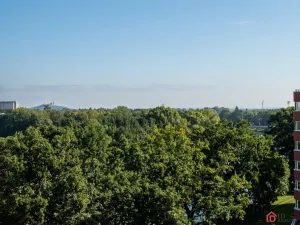 Prodej bytu 2+1, Pardubice - Zelené Předměstí, nábřeží Závodu míru, 53 m2