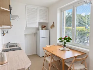Pronájem bytu 2+1, Teplice, Josefa Suka, 50 m2