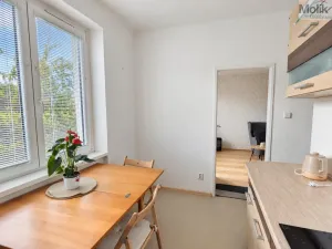 Pronájem bytu 2+1, Teplice, Josefa Suka, 50 m2